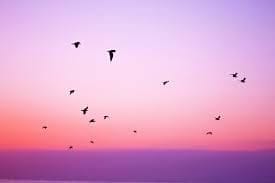 Breath, Spirit, Qi as One Breath, Spirit, Qi as One